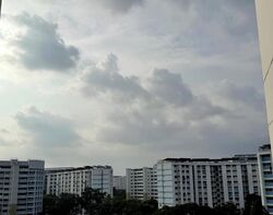 Blk 124 Tampines Street 11 (Tampines), HDB Executive #633244731